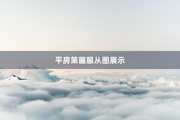 平房策画服从图展示