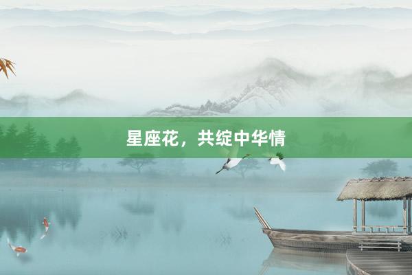星座花，共绽中华情