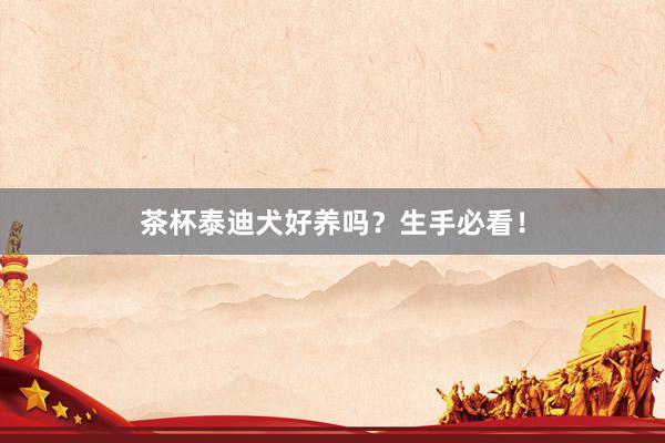 茶杯泰迪犬好养吗?生手必看!