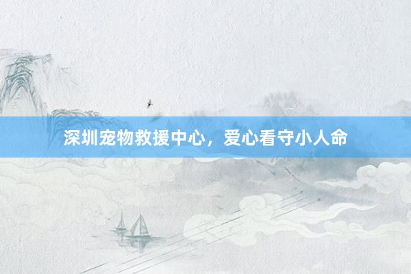 深圳宠物救援中心，爱心看守小人命