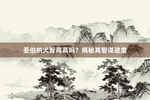 圣伯纳犬智商高吗?揭秘其智谋进度
